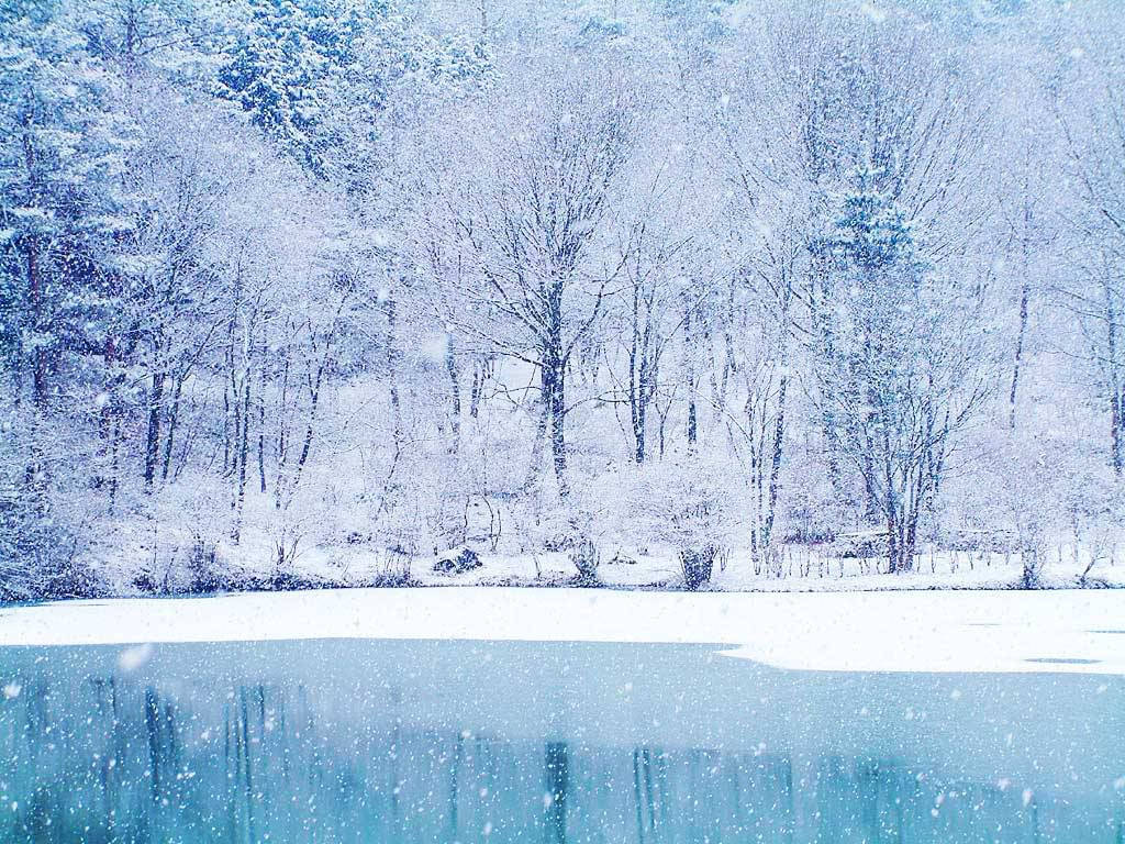 Soft, white winter wonderland Wallpaper