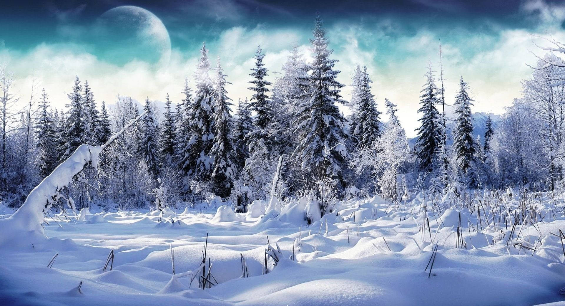 A Winter Scene With Snow Covered Trees And A Moon Wallpaper