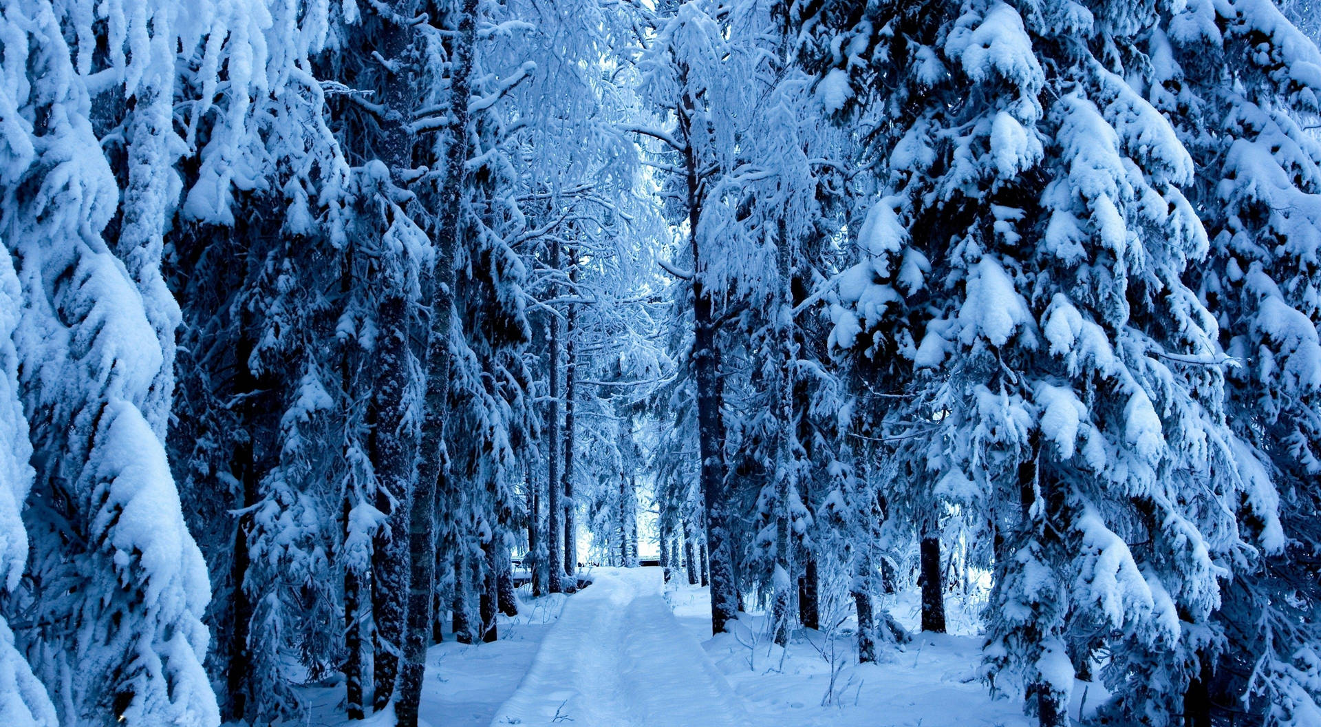 Goditila Pura Bellezza Di Una Scena Bianca Invernale Con Sfondo Neve Sul Desktop. Sfondo