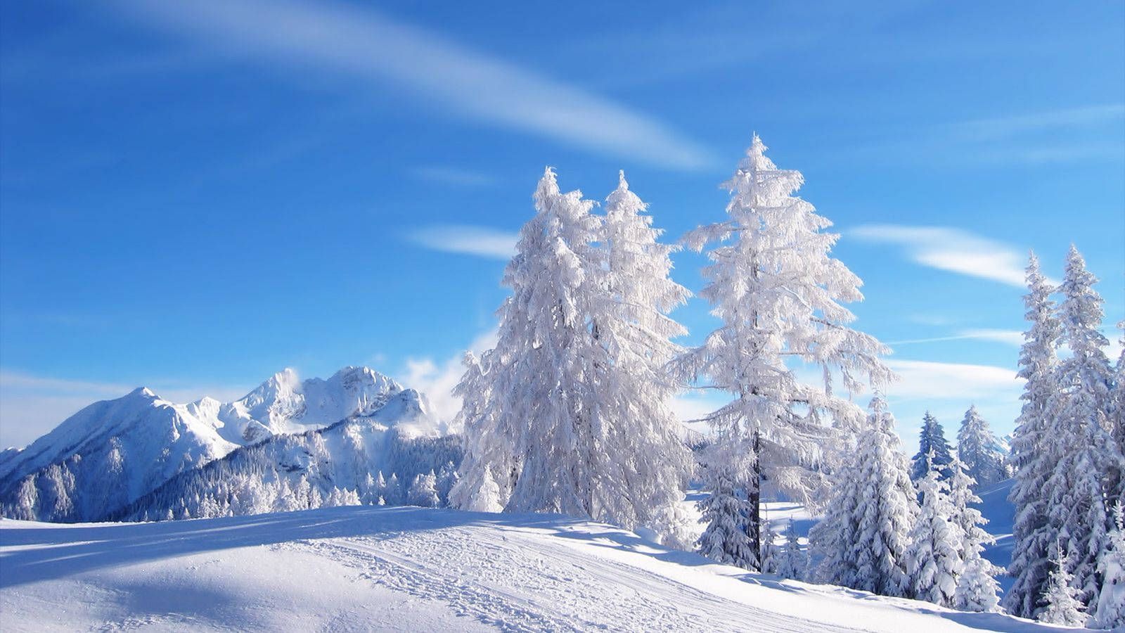 Goditil'incantevole Bellezza Dell'inverno Con Snow Desktop. Sfondo