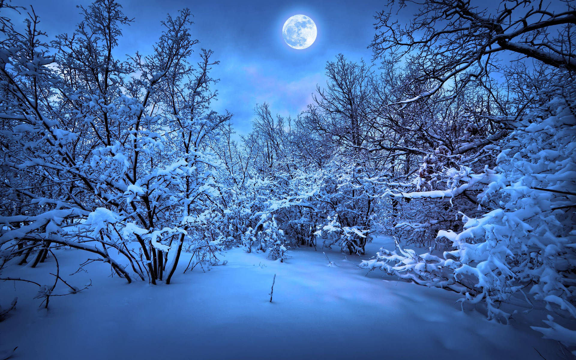 Godetevila Bellezza Di Un Paesaggio Invernale Con Sfondo Nevoso Sfondo