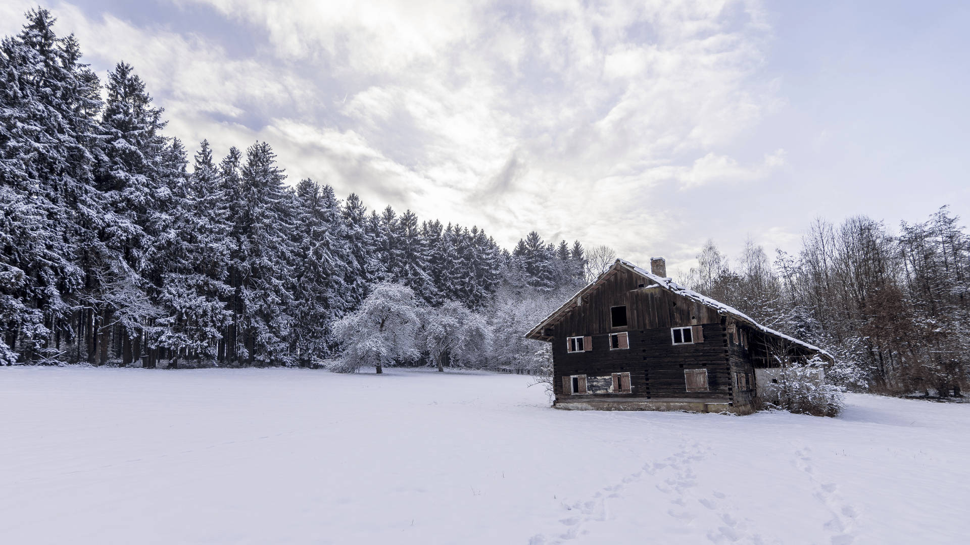 Magical winter wonderland awaits Wallpaper
