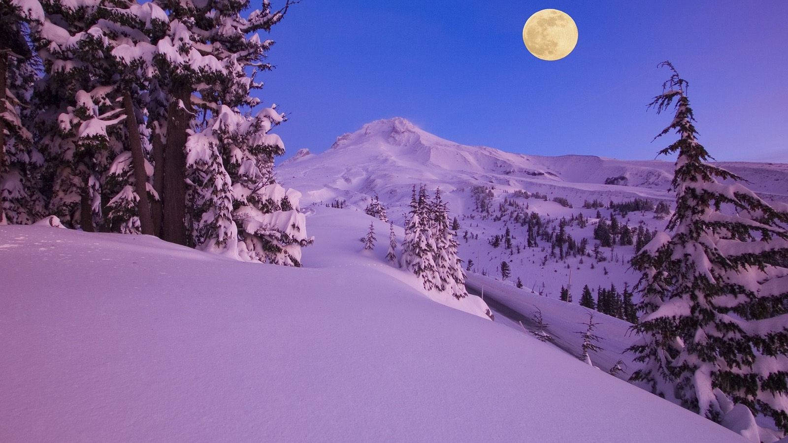 Enjoy the Beauty of Nature with Snow Desktop Wallpaper