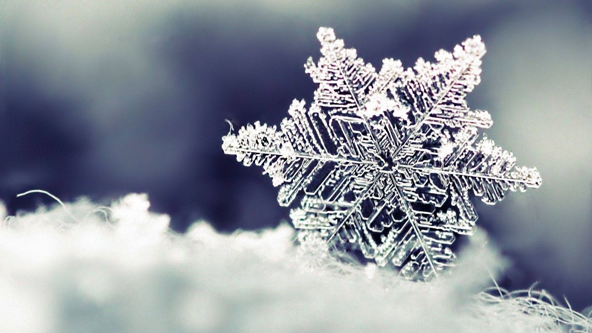 Tag på en vinterferie med en smuk sne skrivebordsbaggrund. Wallpaper