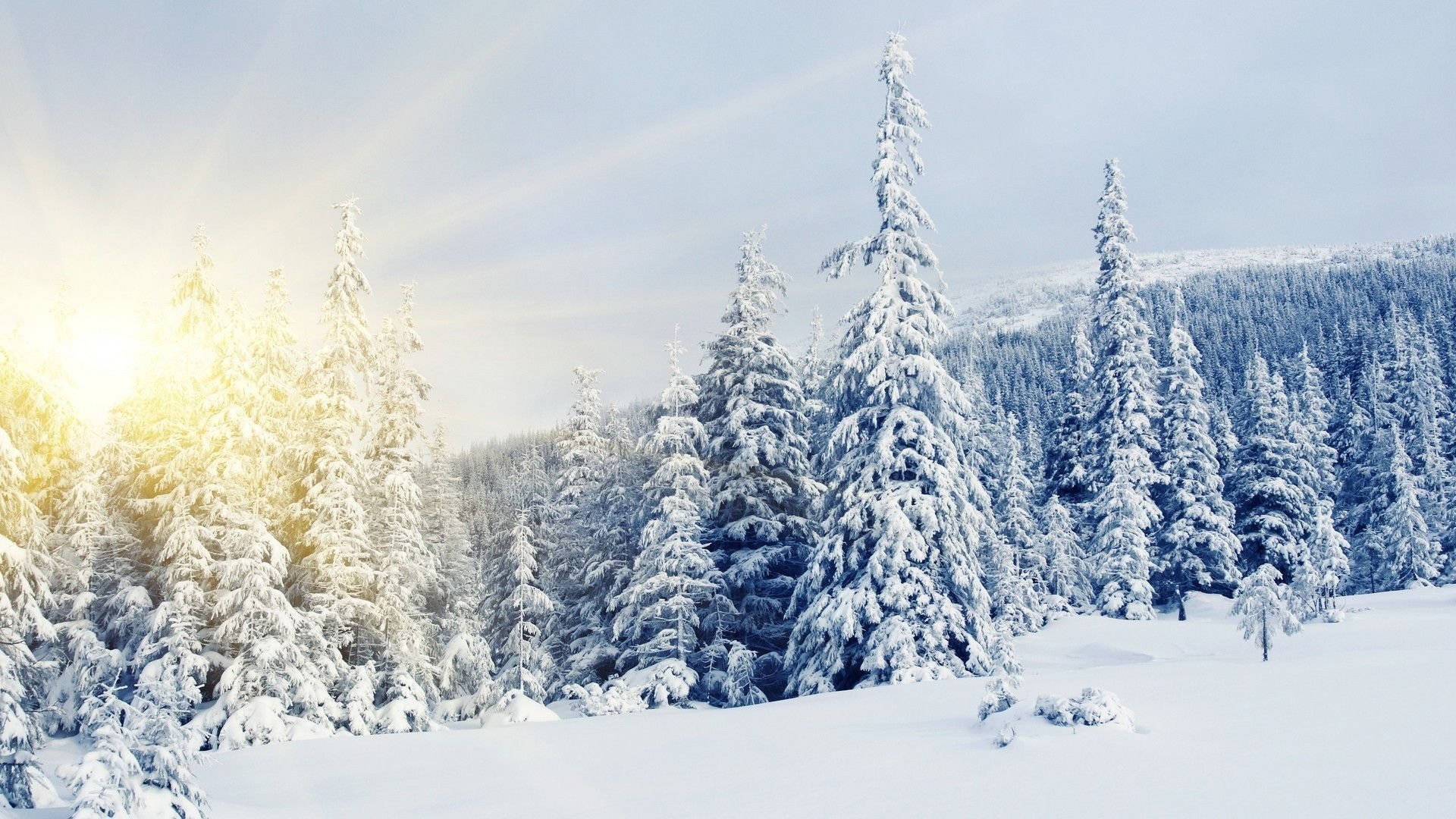 Schneedesktop-sonnenaufgang Im Winter Wallpaper