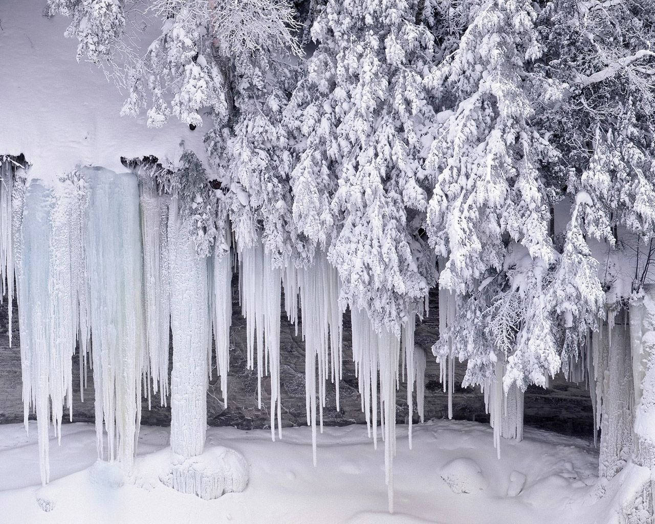 "Enjoy the Beauty of a Winter Wonderland on Your Desktop" Wallpaper