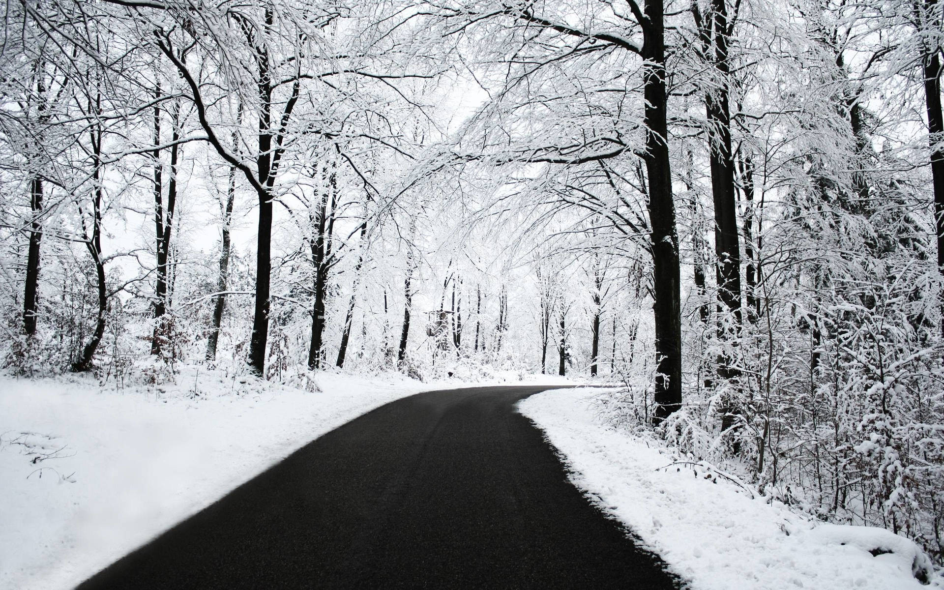 Enjoy beautiful winter scenery from your desktop Wallpaper