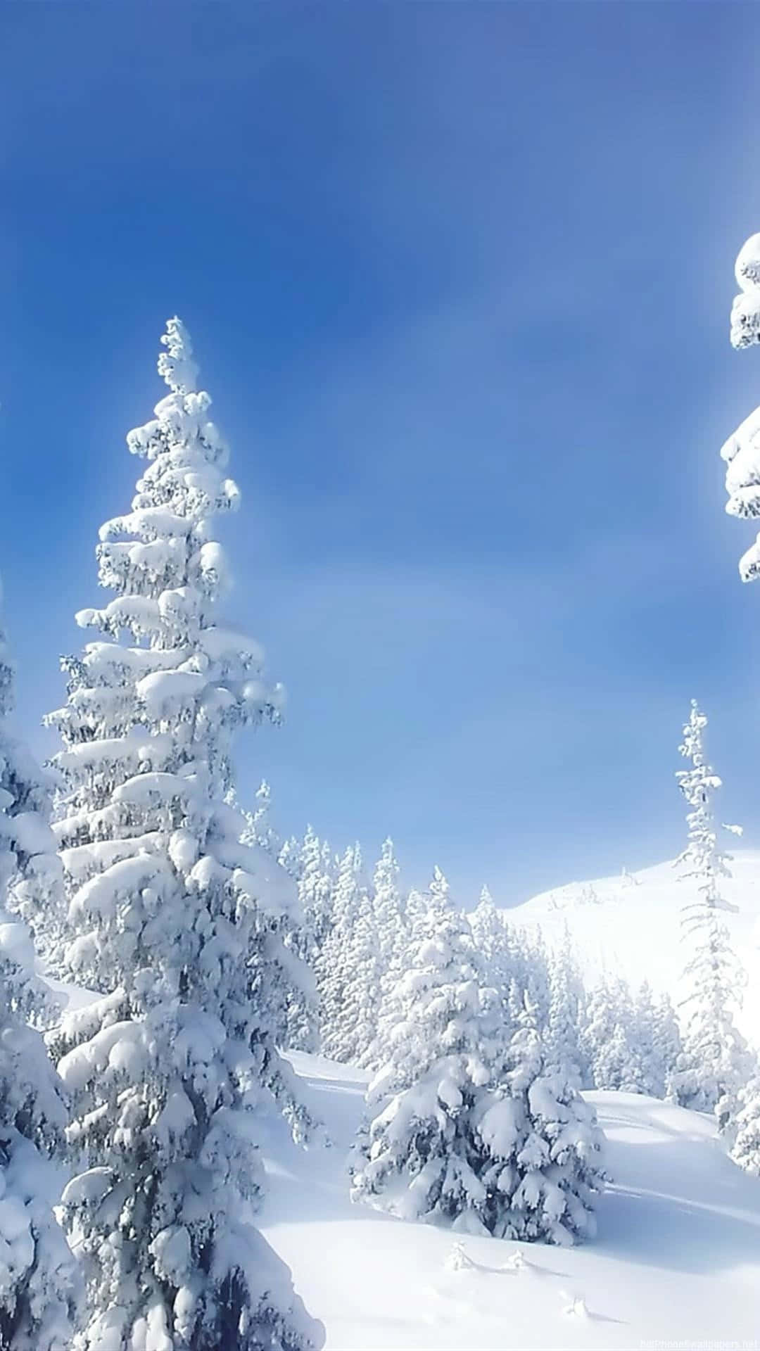 Einwunderschöner Schneefall Im Winter Wallpaper