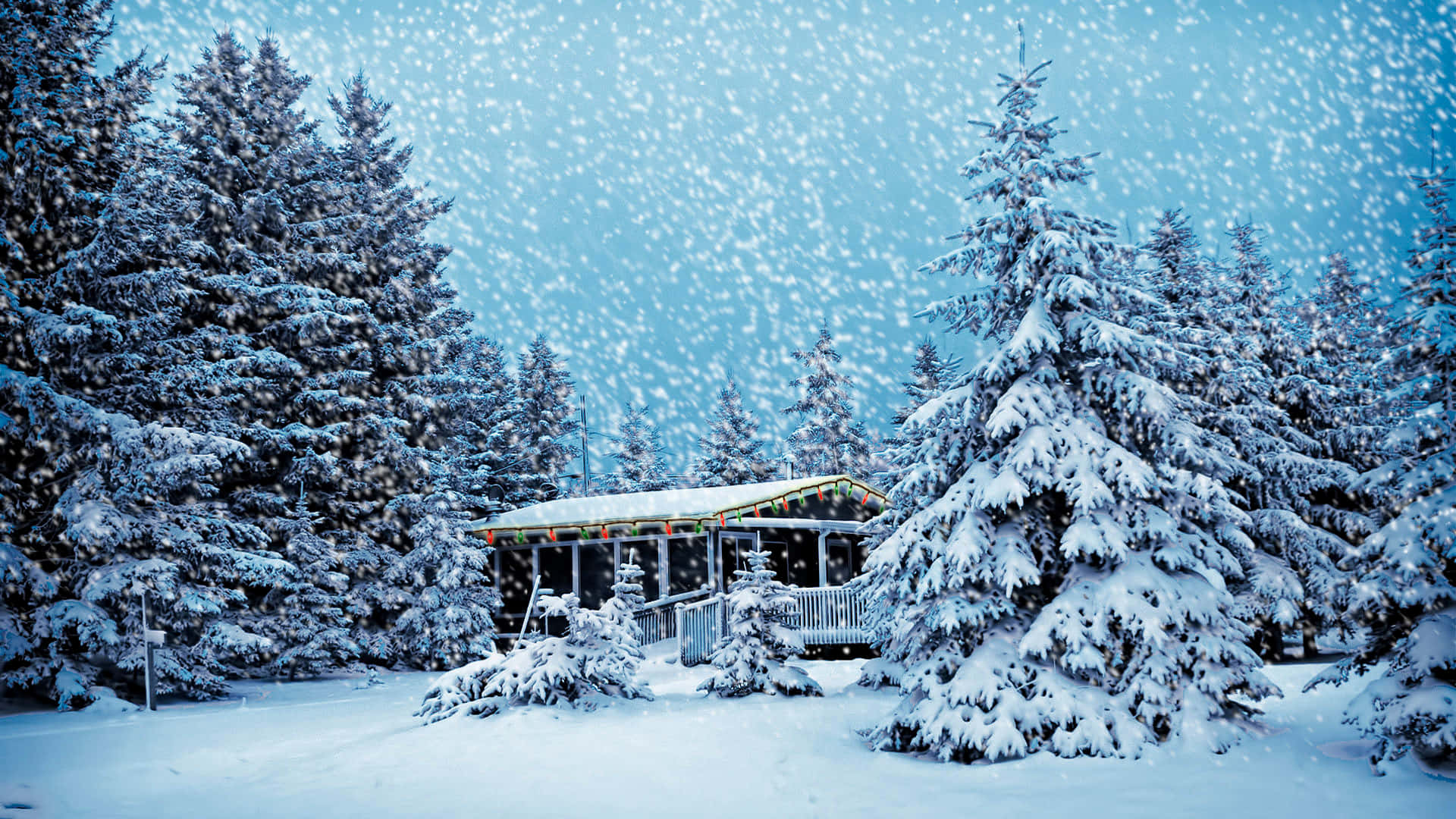 Genießeeine Schneebedeckte Winterwunderwelt Wallpaper