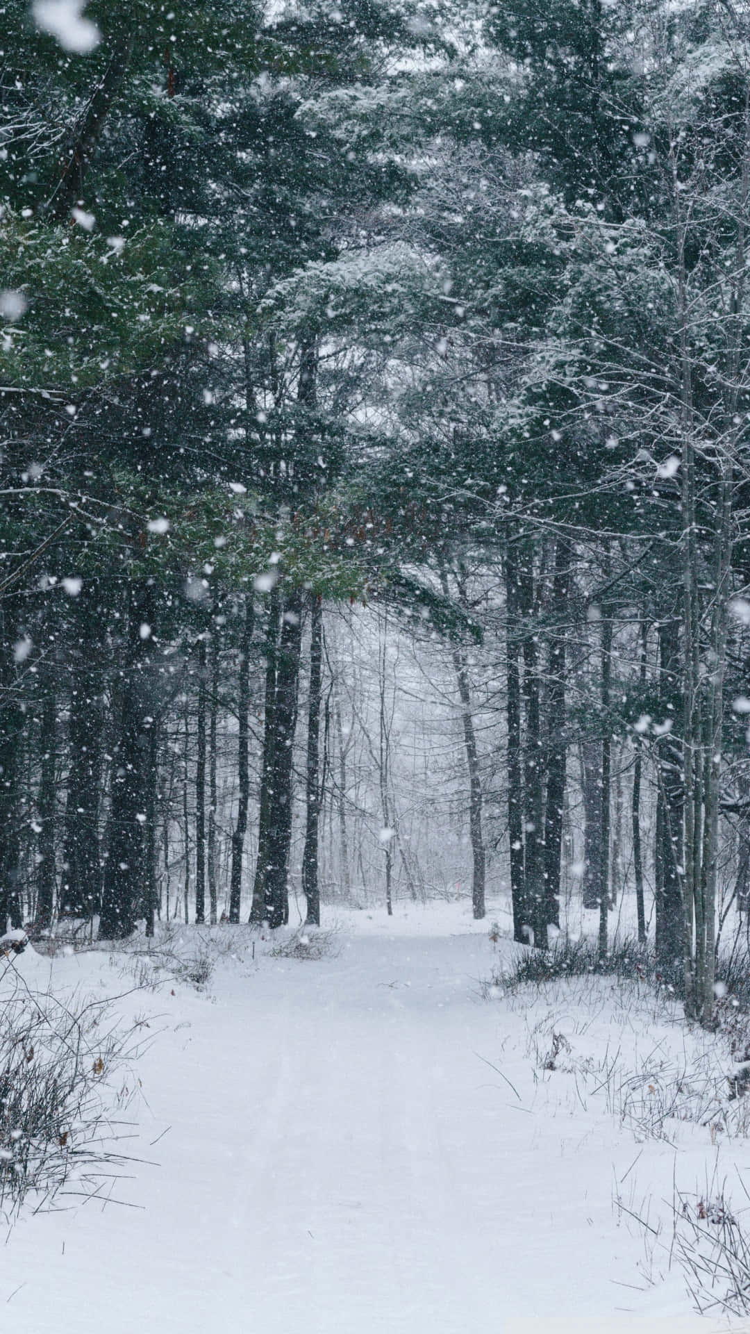 Desfruteda Beleza Do Inverno Enquanto Flocos De Neve Brancos Caem Graciosamente Do Céu. Papel de Parede