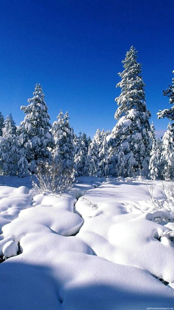 Snow Forest Nature Iphone Wallpaper