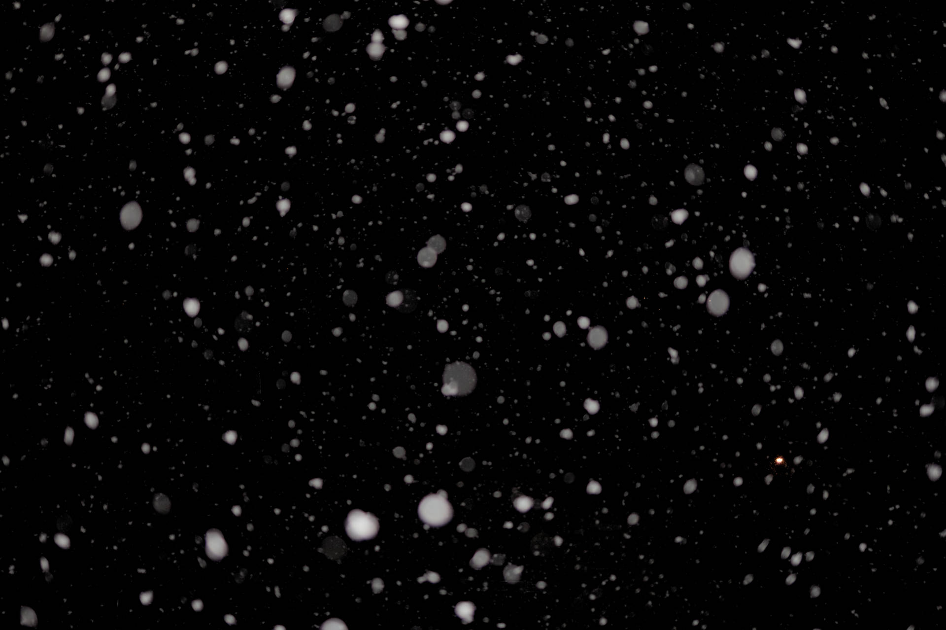 Snow, Glare, Points, Black