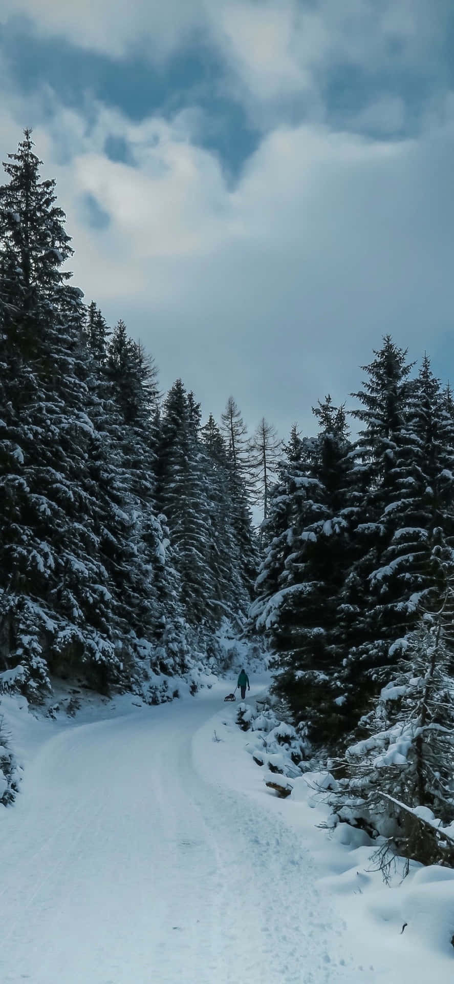 Capture beautiful memories in the snow with an iPhone Wallpaper