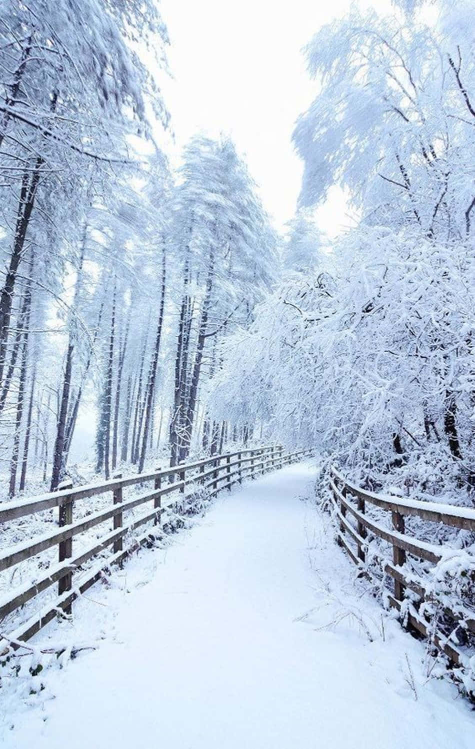 Disfrutade La Nieve Fresca Mientras Acampas Con Tu Snow Iphone. Fondo de pantalla