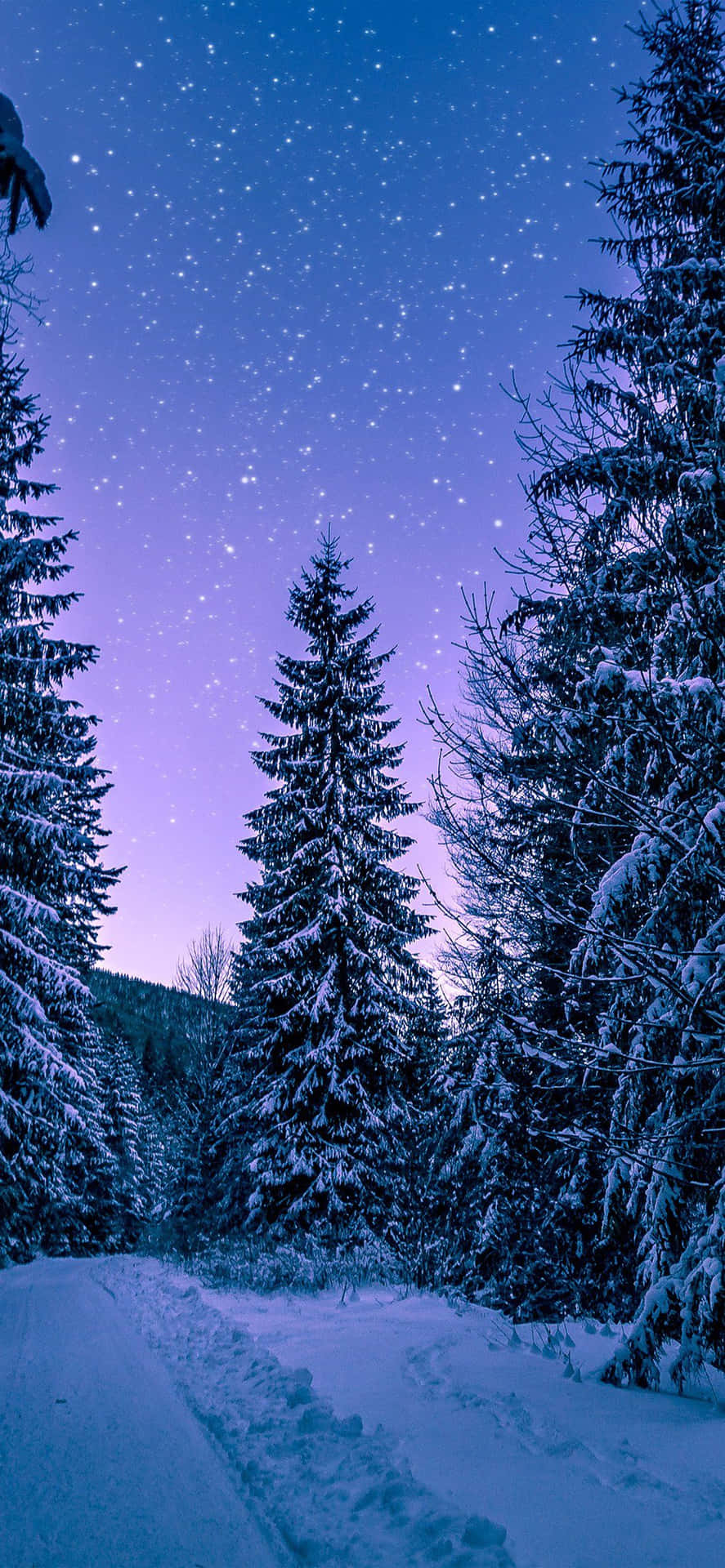 Starry Sky In Winter Snow iPhone Wallpaper
