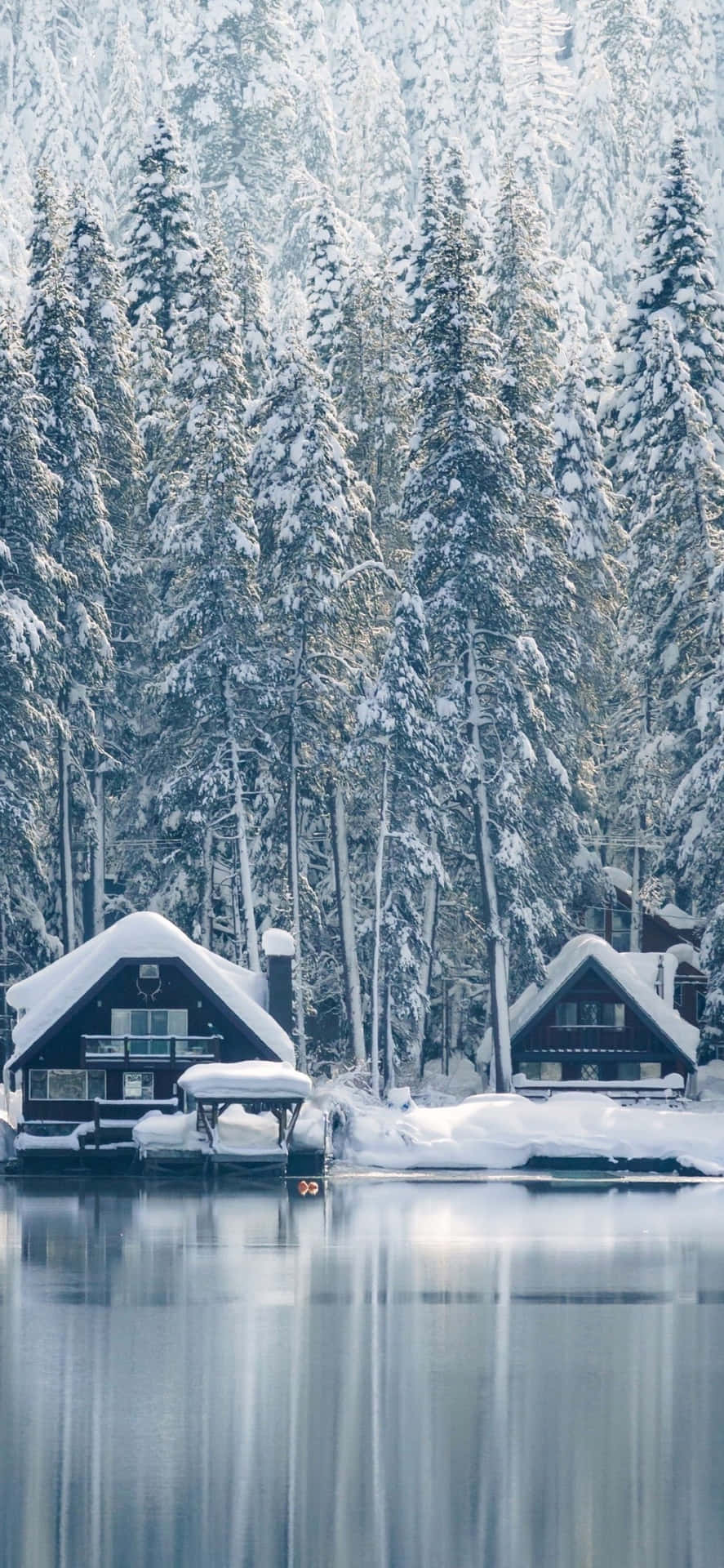 Goditiil Fantastico Paesaggio Invernale Della Natura Sul Tuo Iphone Con La Neve. Sfondo