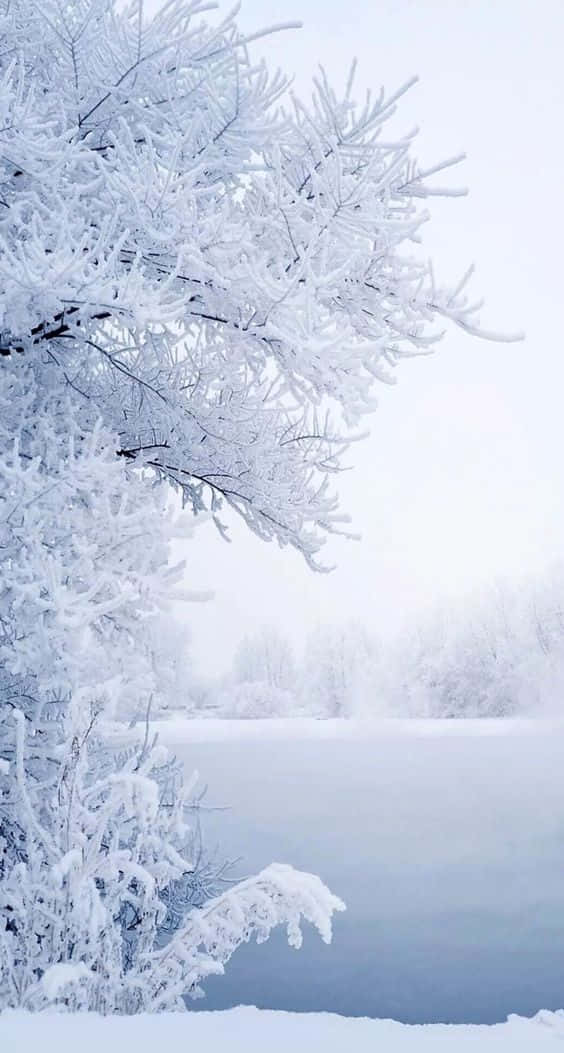 Refrescatu Día Invernal Con Un Iphone De Nieve. Fondo de pantalla