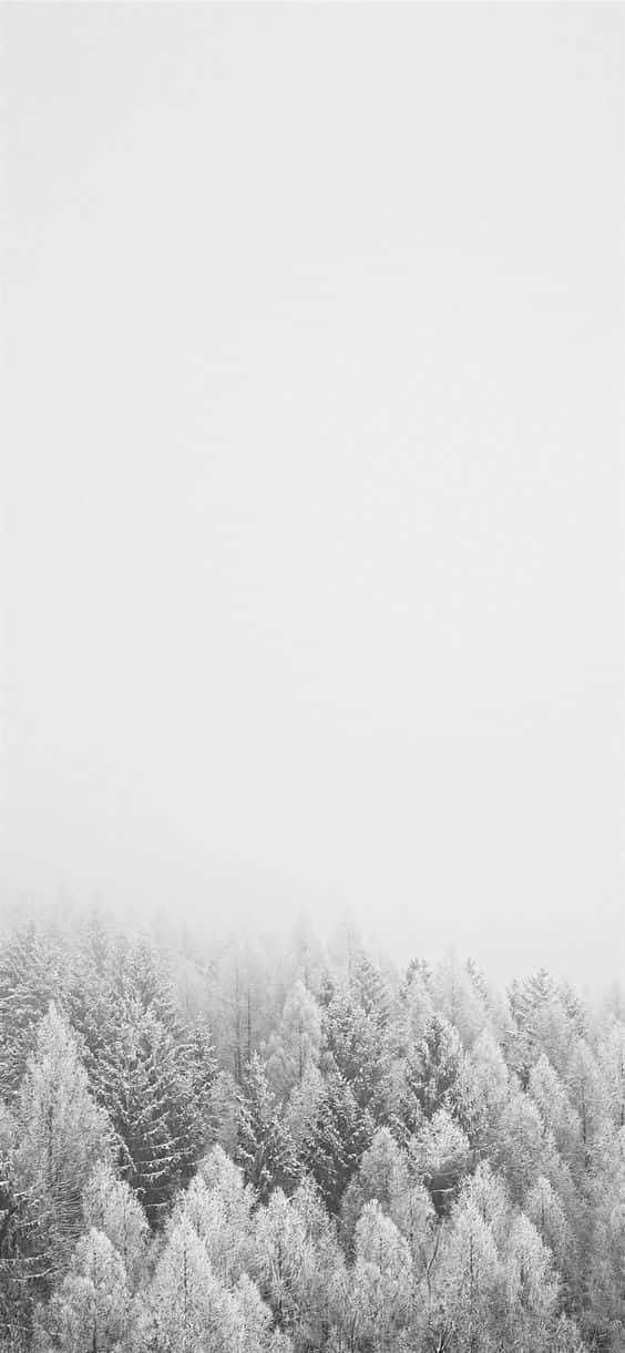 A sleek iPhone in the snow Wallpaper