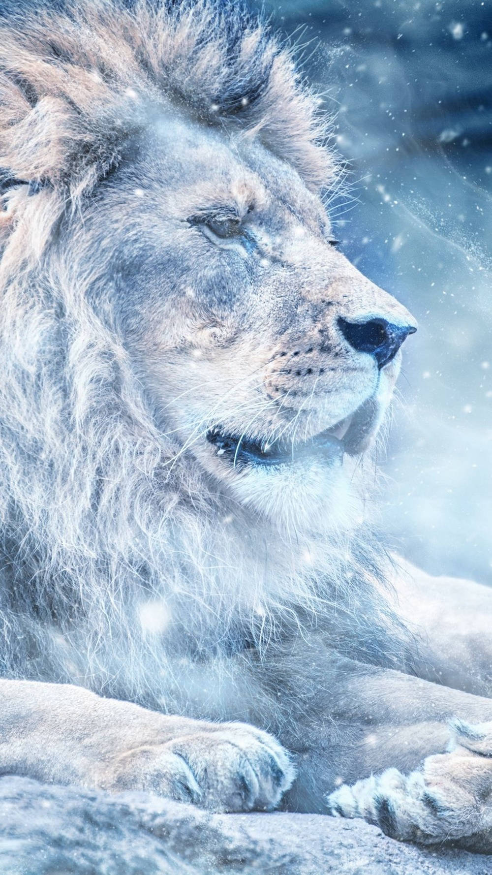 Snow Land Lion iPhone Wallpaper