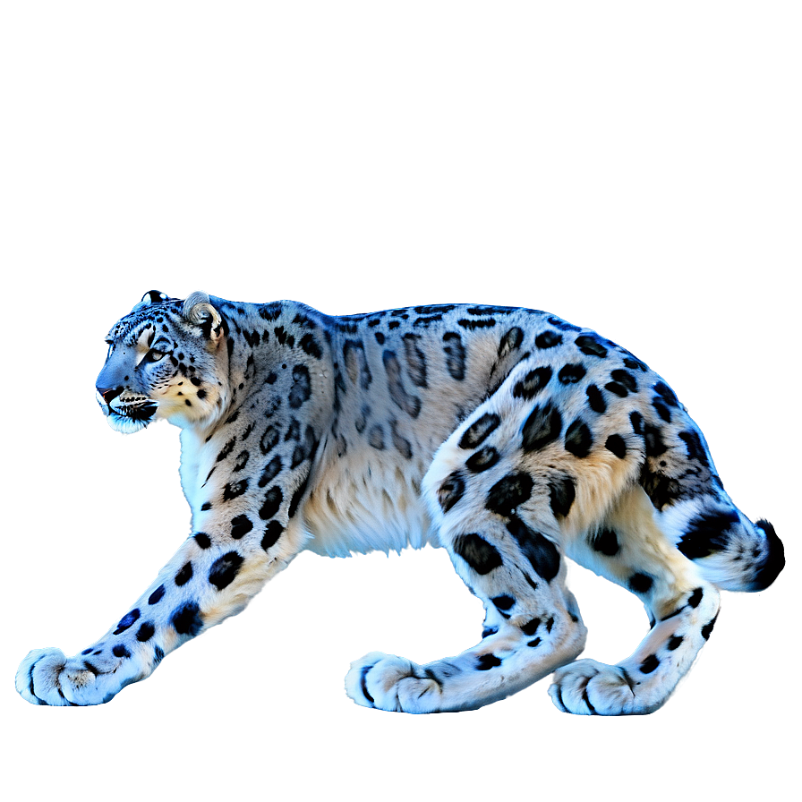 Snow Leopard A PNG