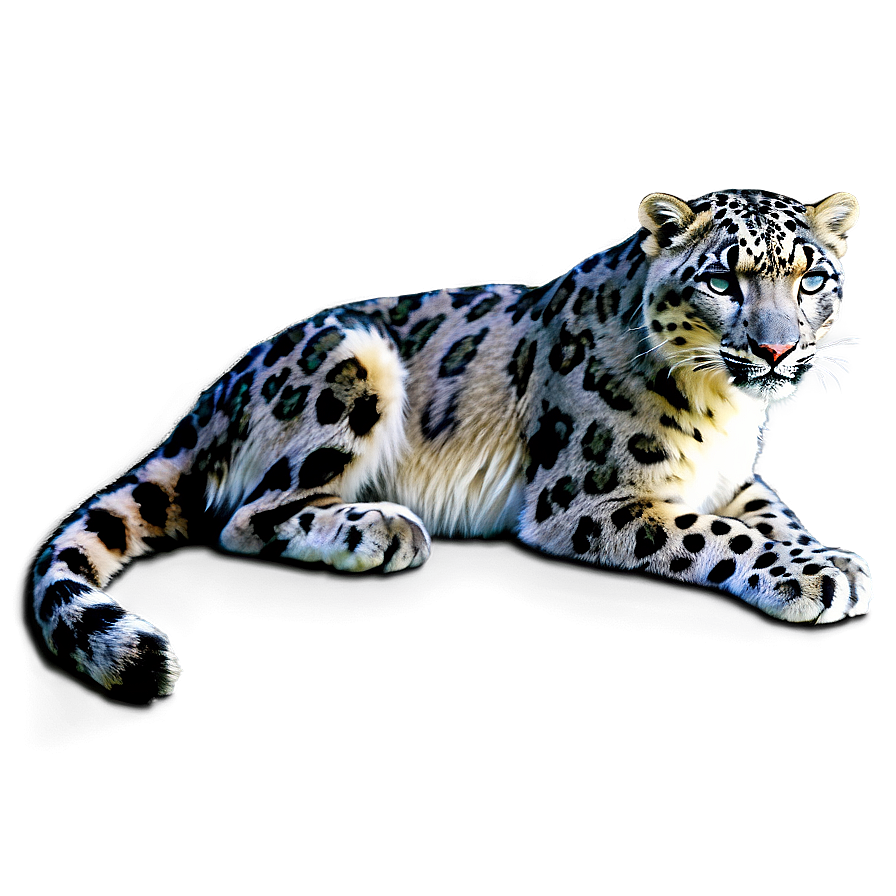 Snow Leopard D PNG