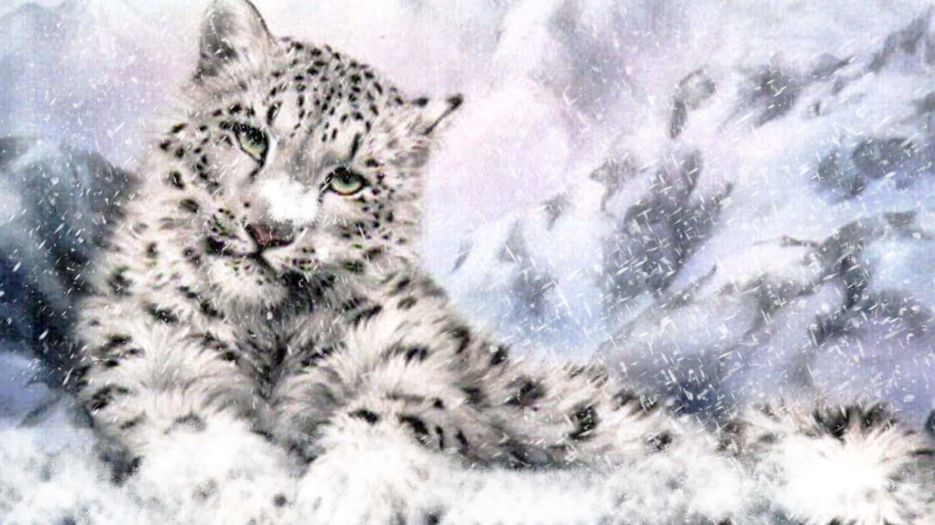 Exquisite snow leopard enjoying the snow Wallpaper