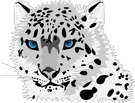 Snow Leopard Portrait Vector PNG