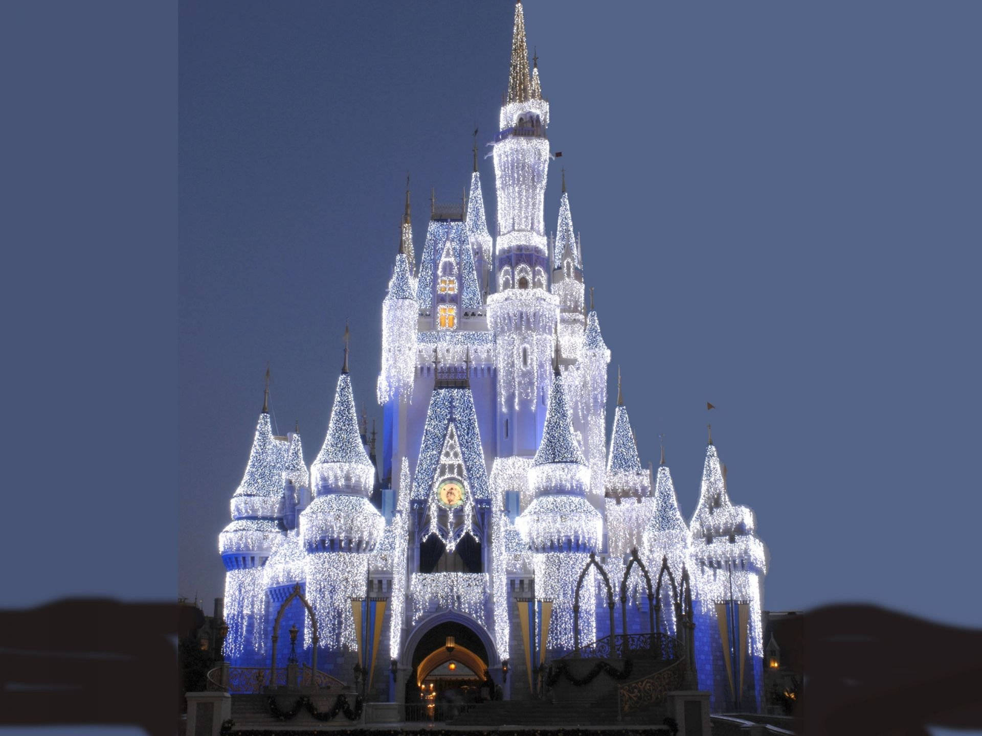 Snow-like Lights Disney Castle Picture