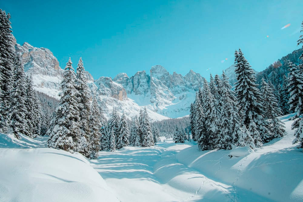 Paisagemde Inverno Com Montanhas Cobertas De Neve. Papel de Parede