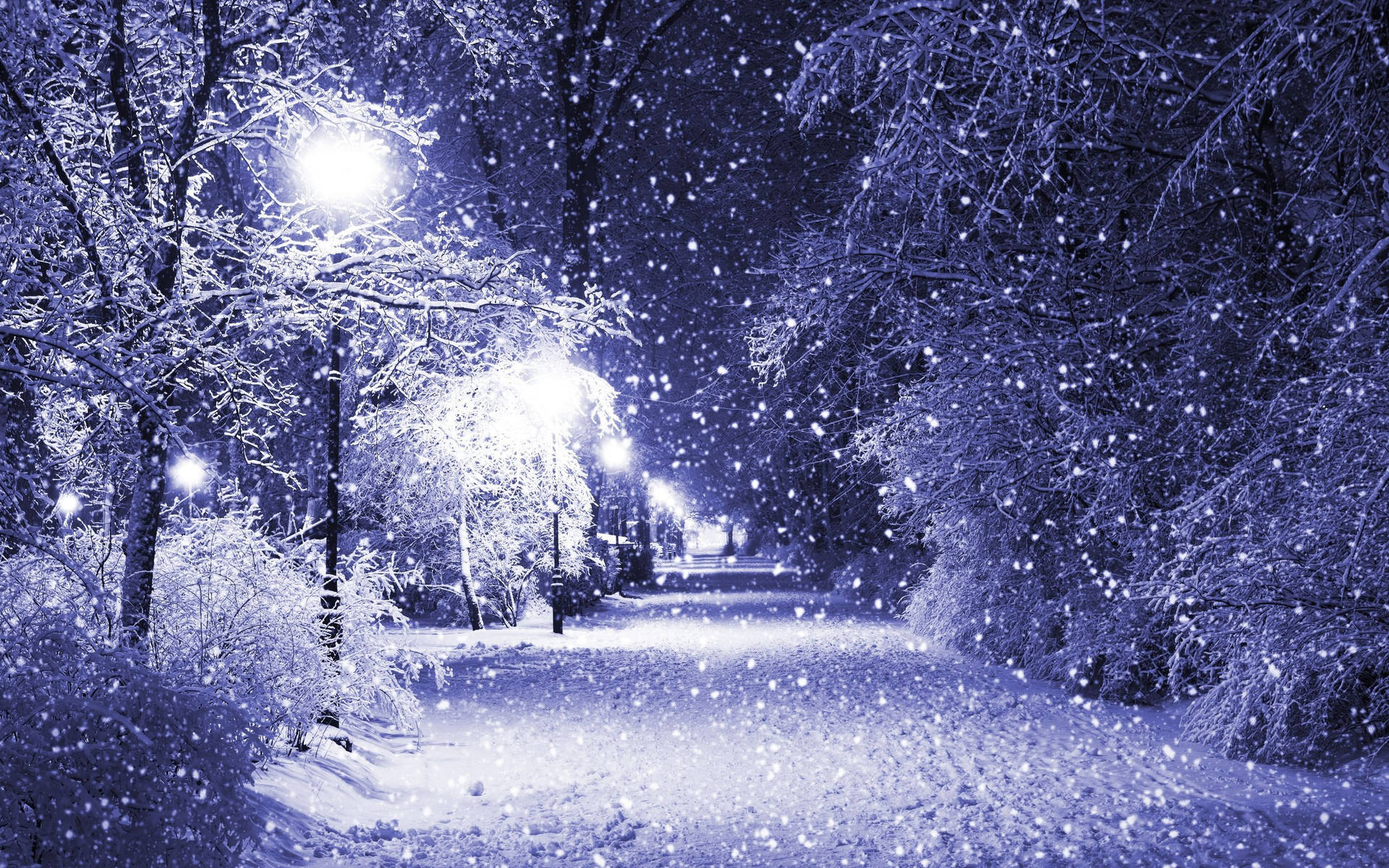 Winter night Wallpapers Download  MobCup