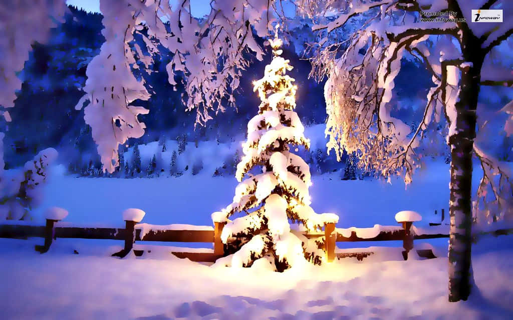 A Christmas Tree Lit Up In The Snow