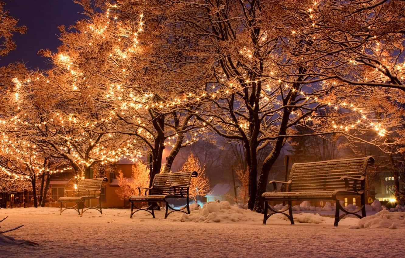 Enjoy the tranquility and beauty of nature in winter