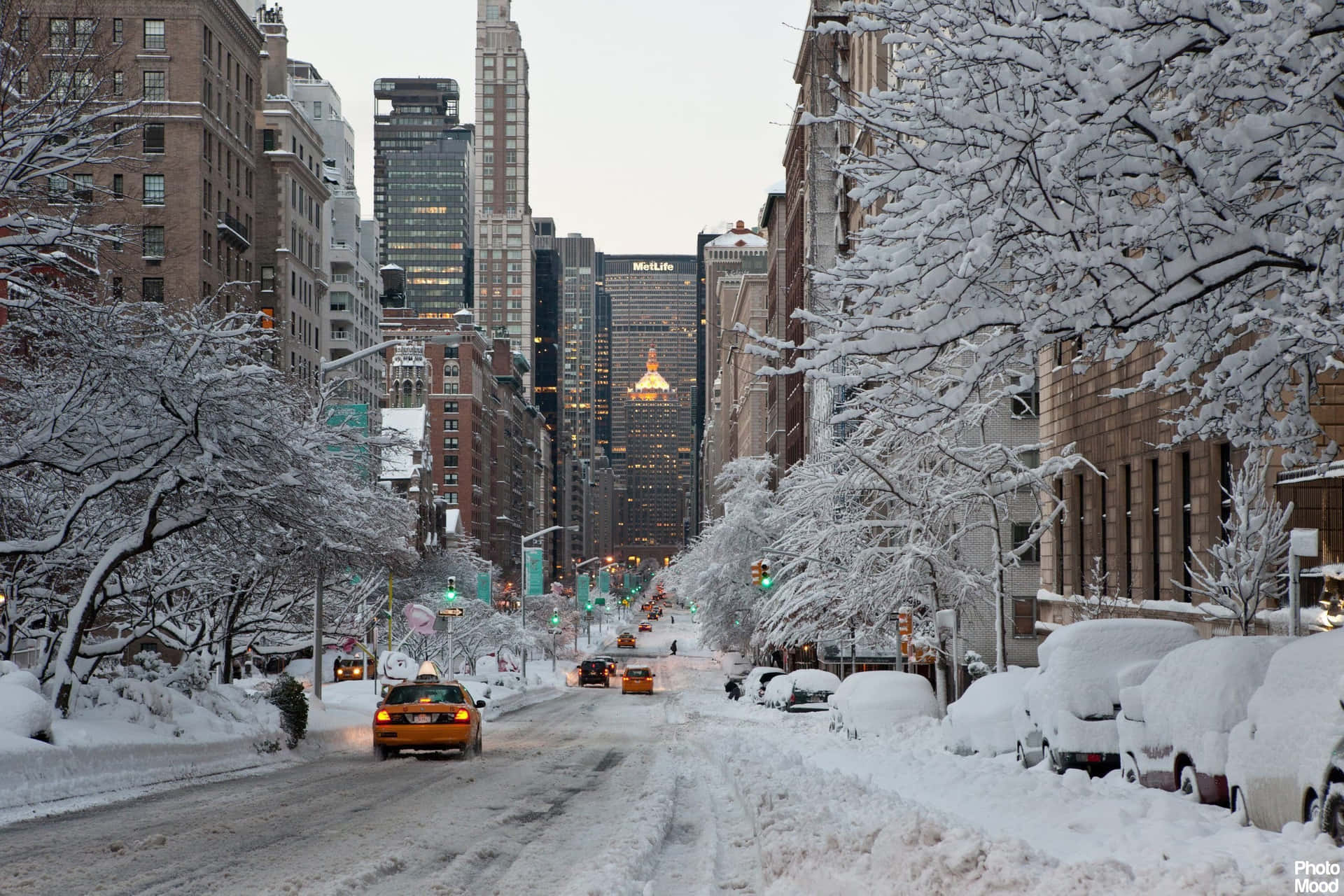 Image  A Massive Snowfall Blankets a Fabled Neighborhood