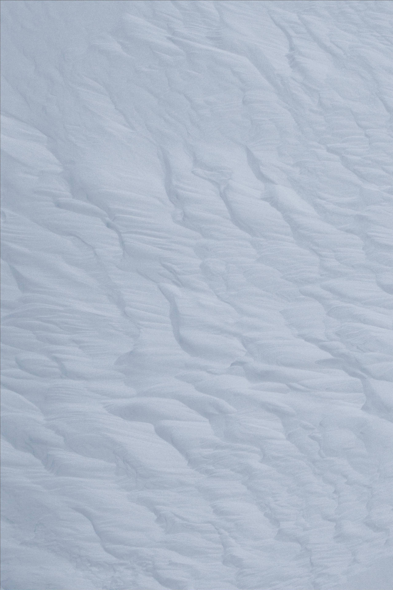 Snow Relief Texture with White and Gray Wallpaper