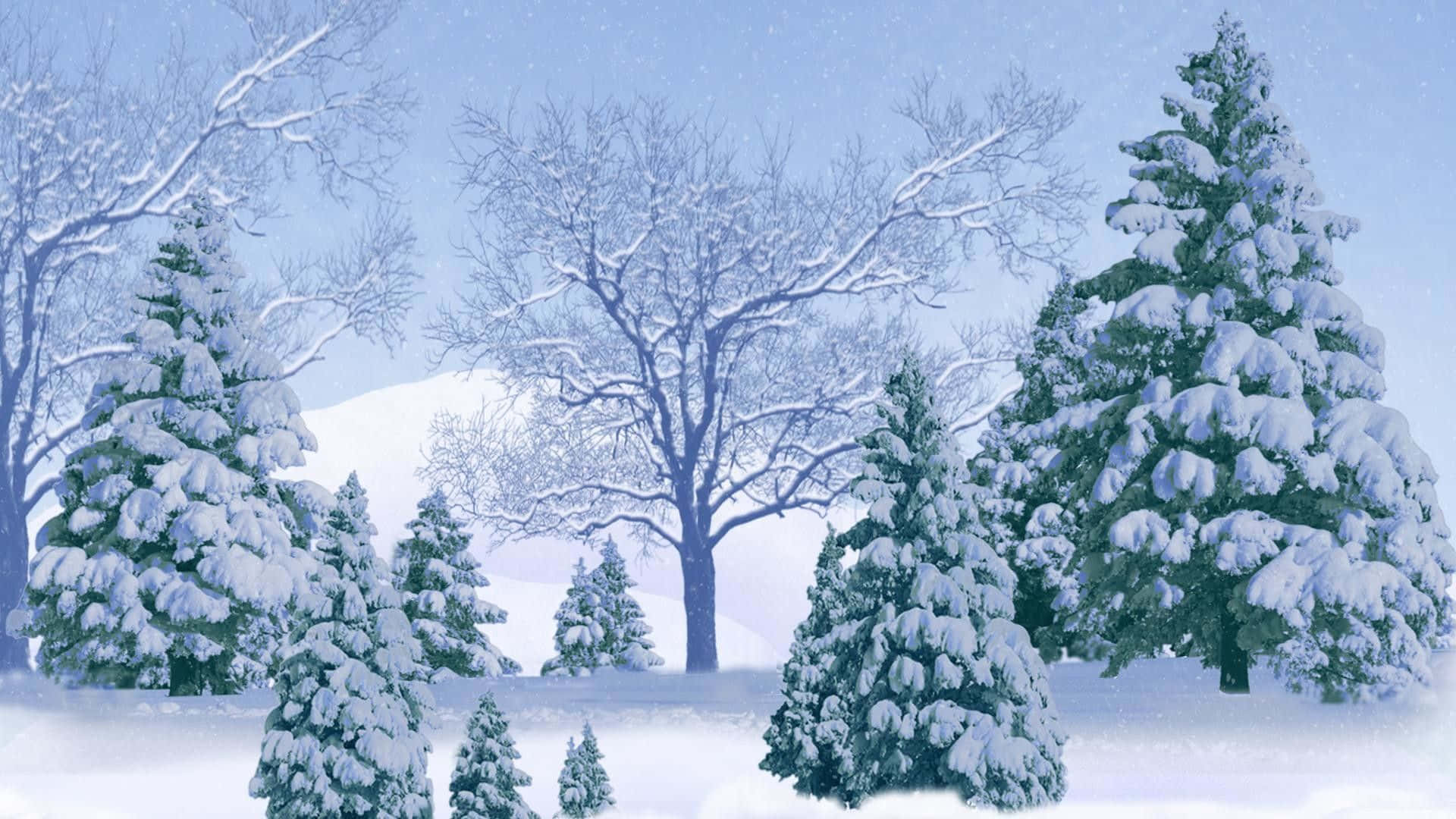 Serene snow-covered trees during winter Wallpaper