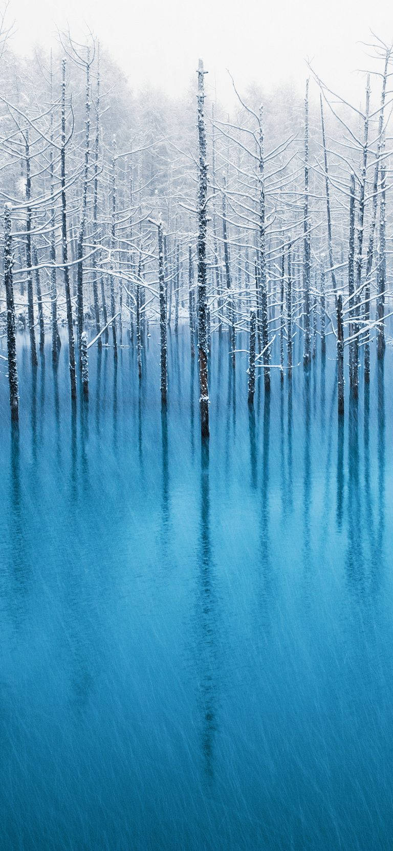 Alberidi Neve Sul Lago - Originale Per Iphone 4 Sfondo