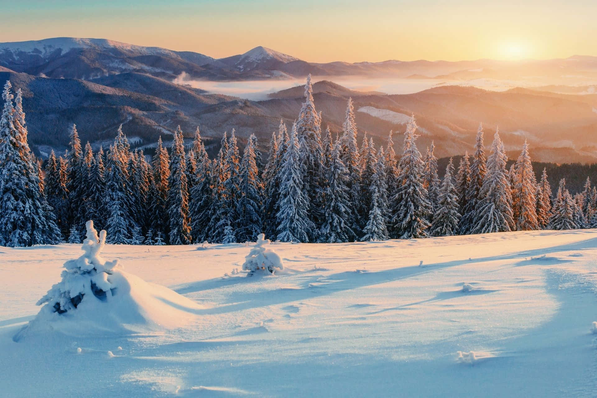 Take a Magical Zoom through the Snowy Mountains