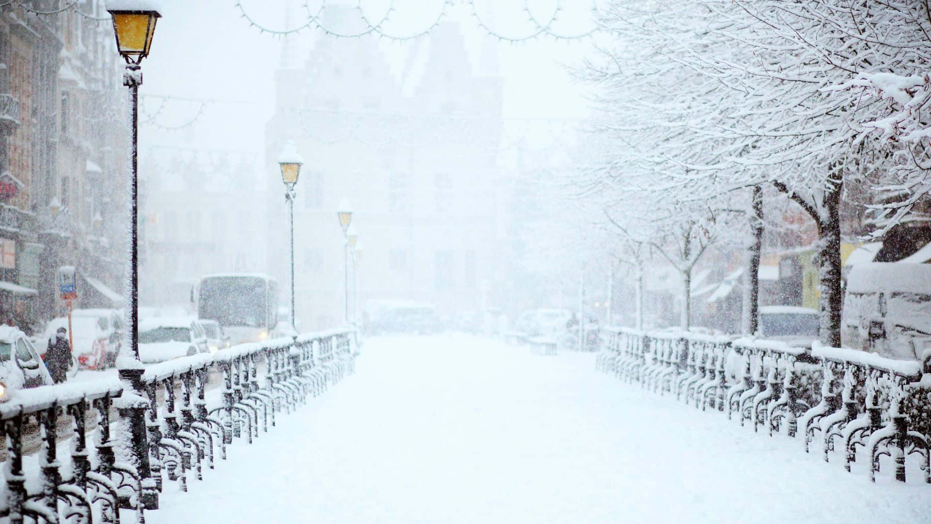 Enjoy the winter beauty of Snow Zoom