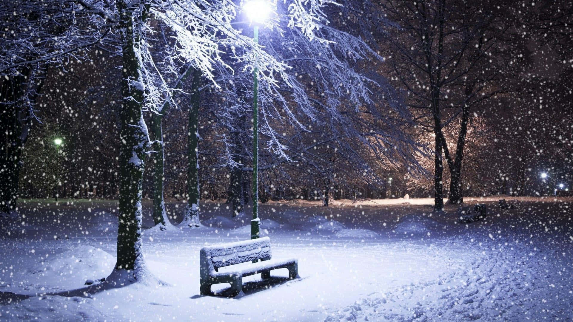 Snowfall Bench Night Desktop Wallpaper