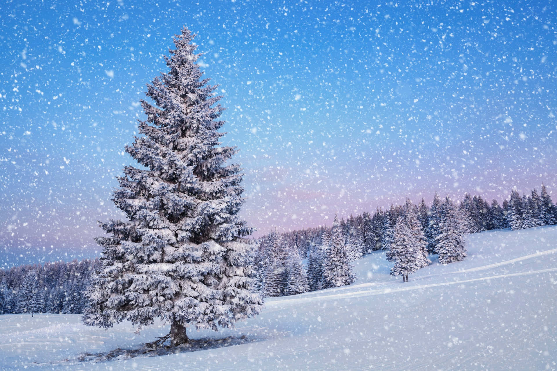Schneefällt Auf Eine Magische Winterlandschaft Wallpaper