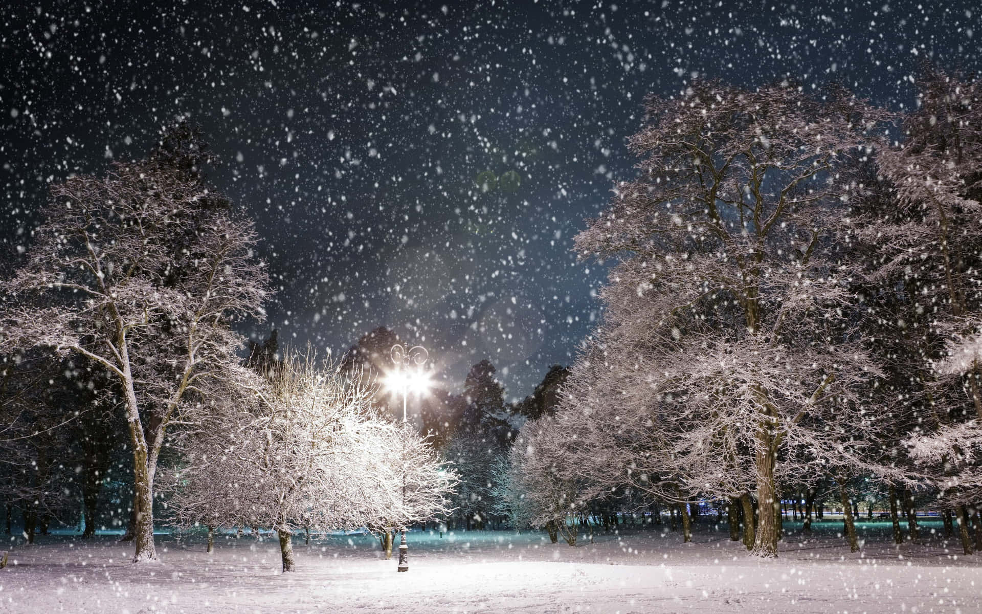 Einwunderschöner Schneefall, Der Vor Einem Hintergrund Von Vereisten Bäumen Glitzert. Wallpaper