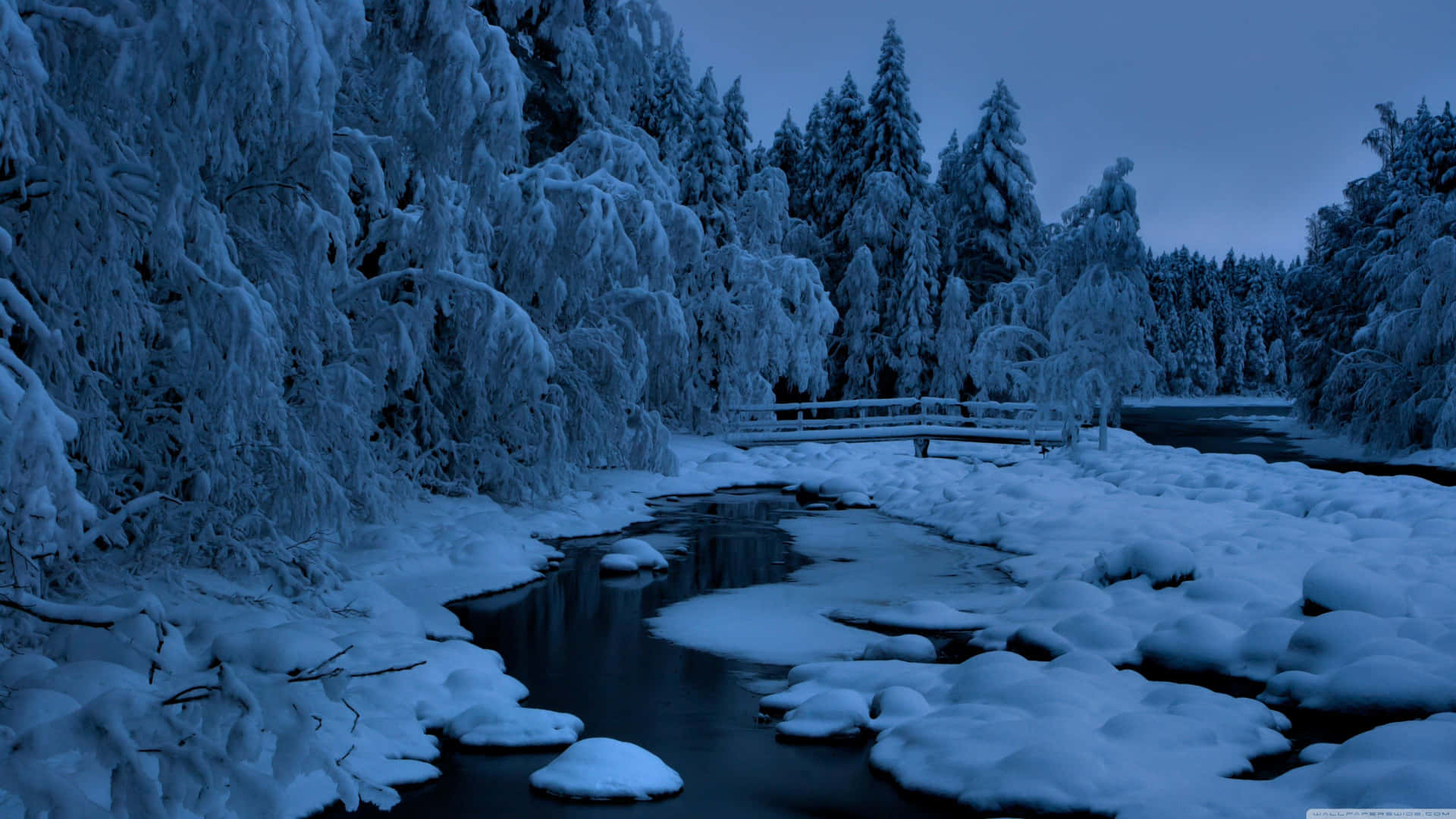 Magien af Snefald: Kolde toner af hvid og blå, der vækker en fredelig vinterlandskab. Wallpaper
