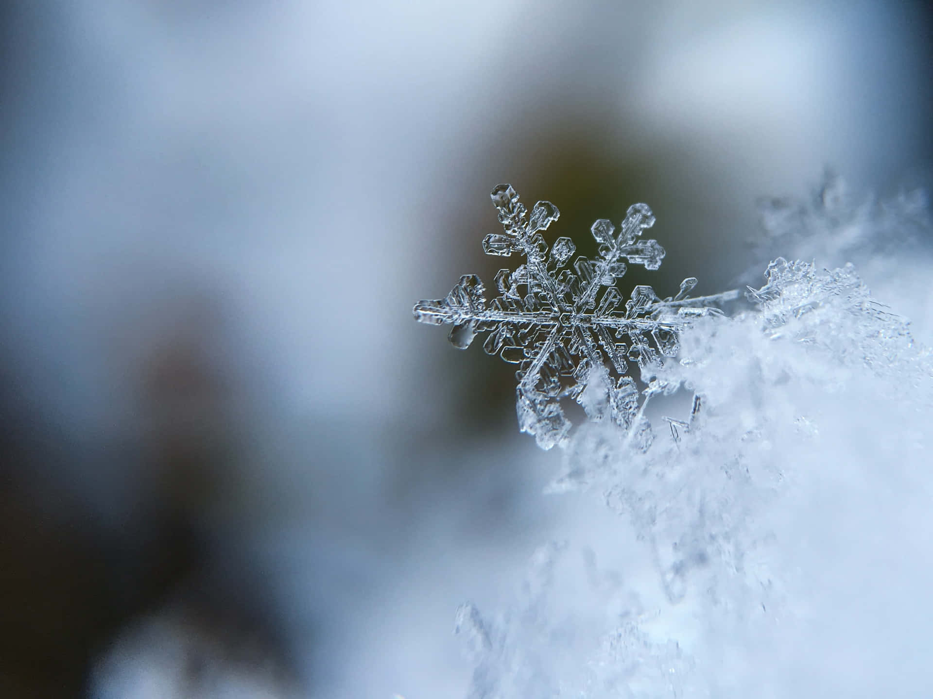 A white snowflake on a dark wintery background