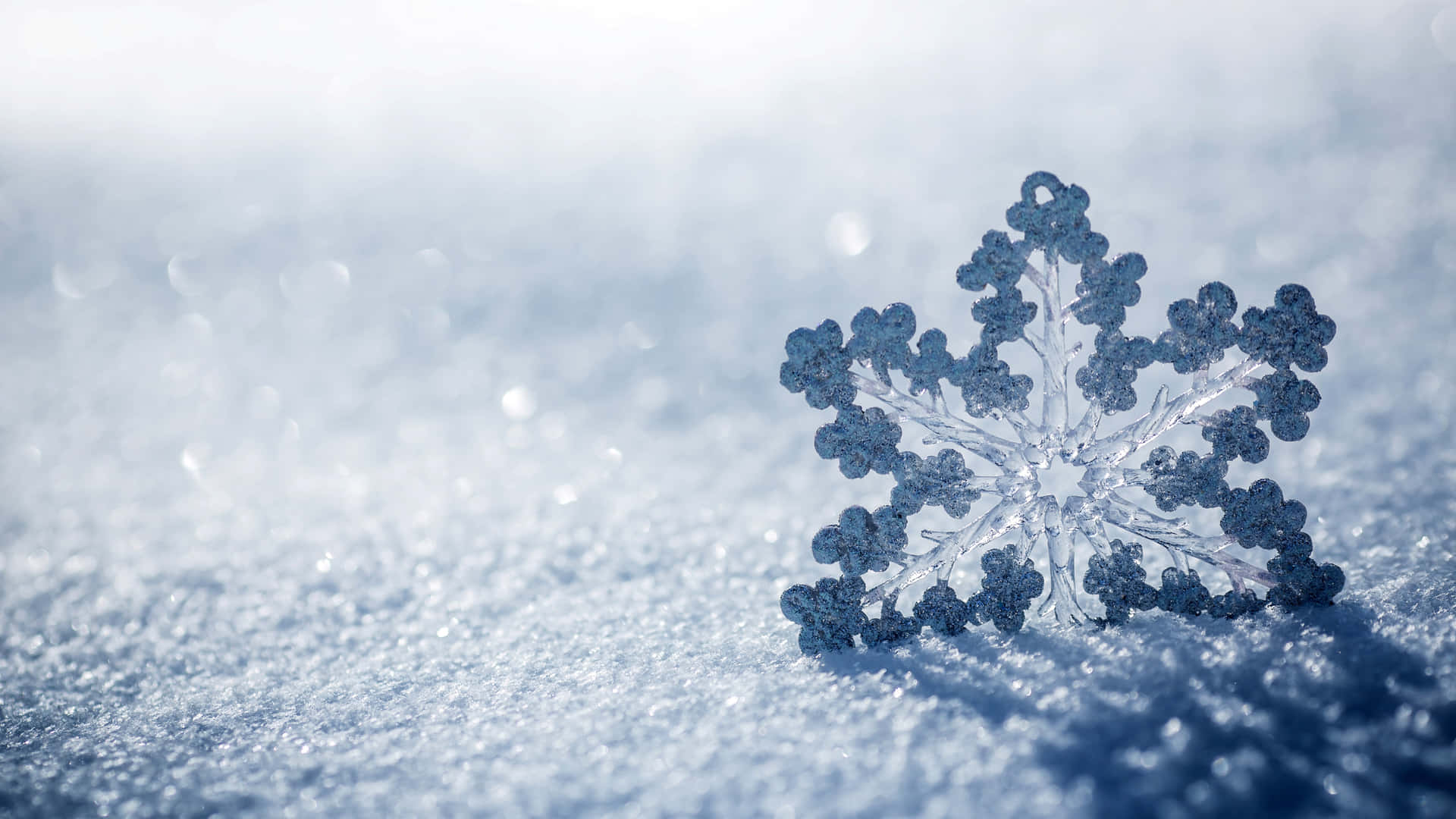 Nature's Perfect Creation - A Snowflake