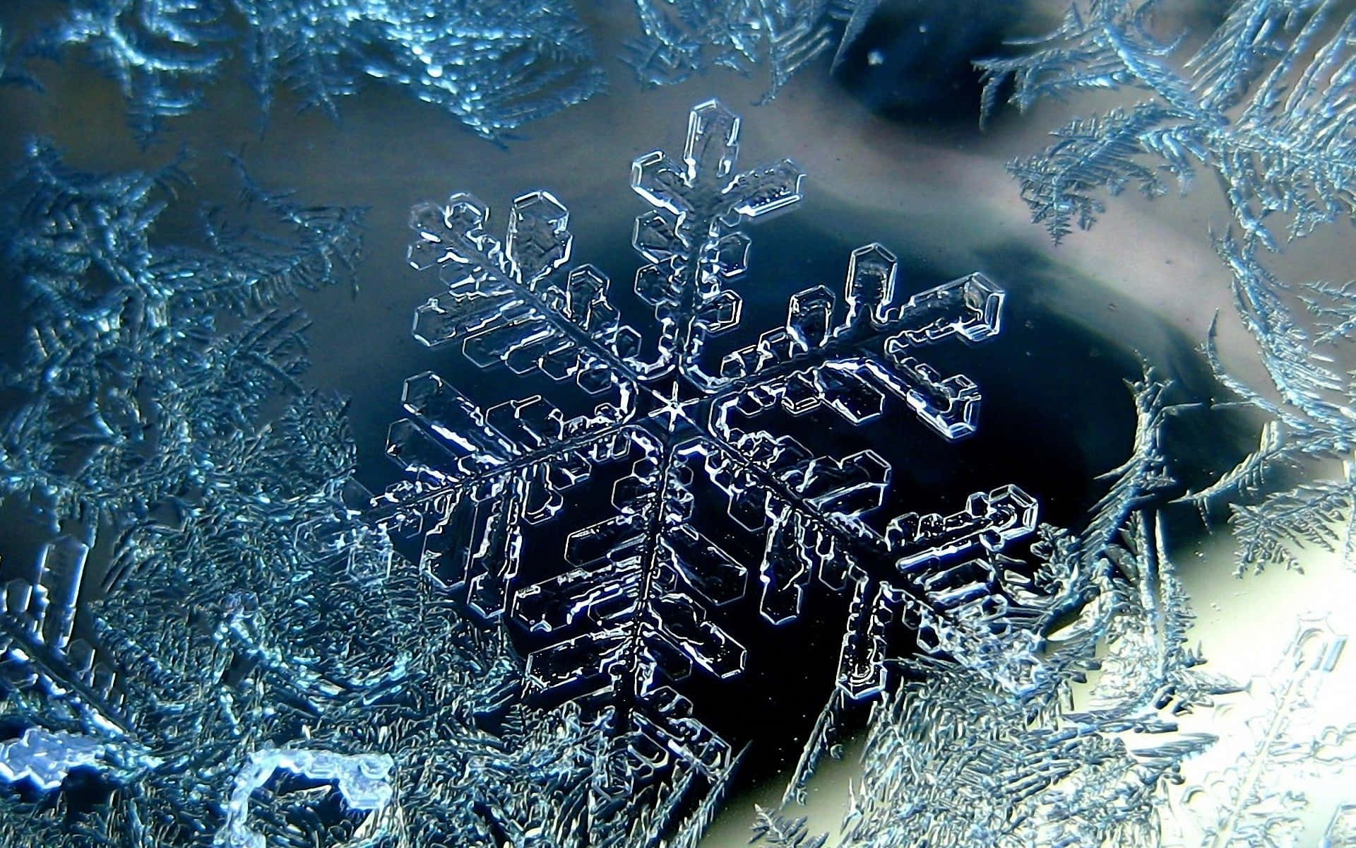 A unique snowflake up close.