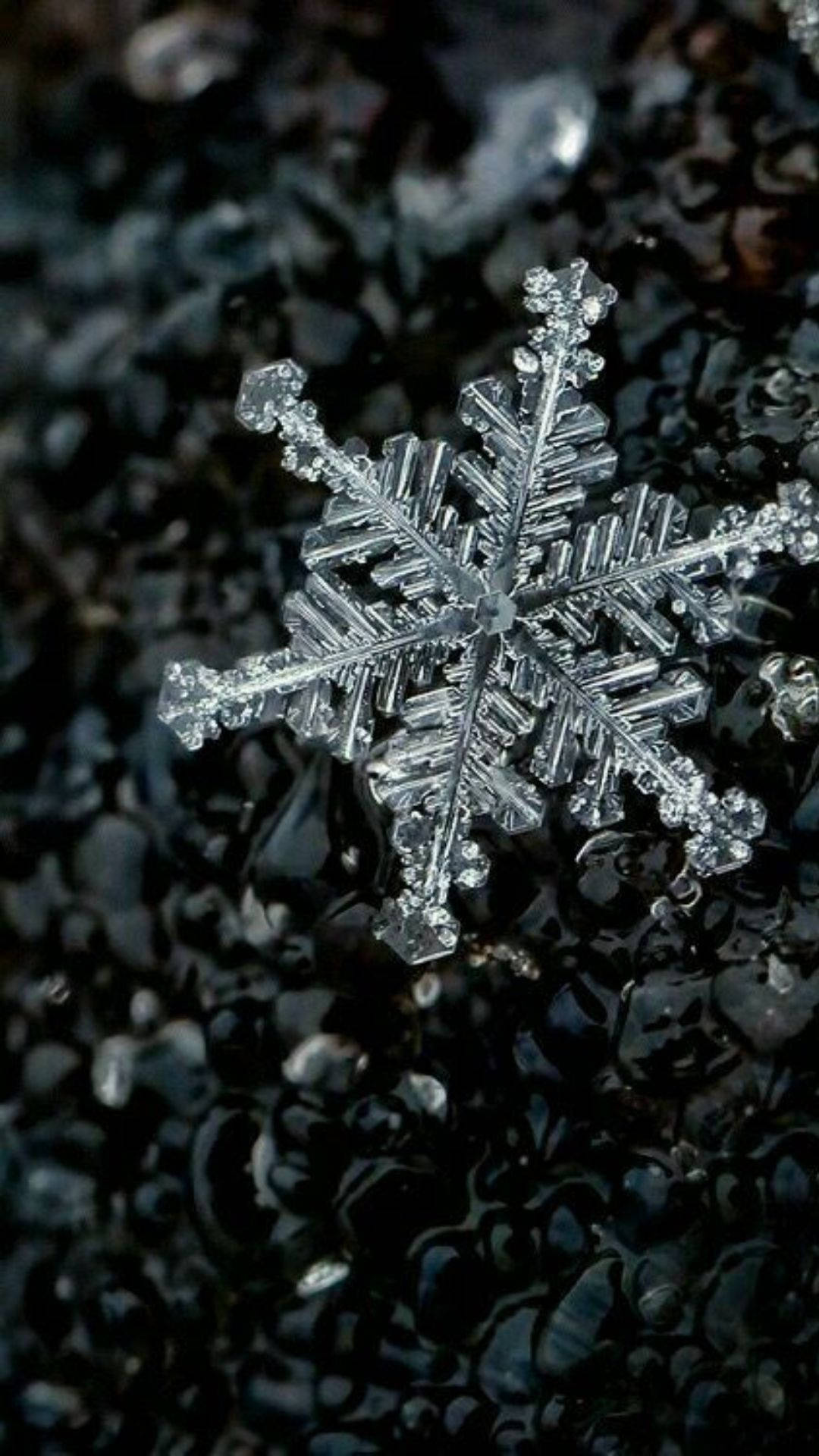 Lys op din vinter med snefnug tema Snowflake Iphone Wallpaper. Wallpaper