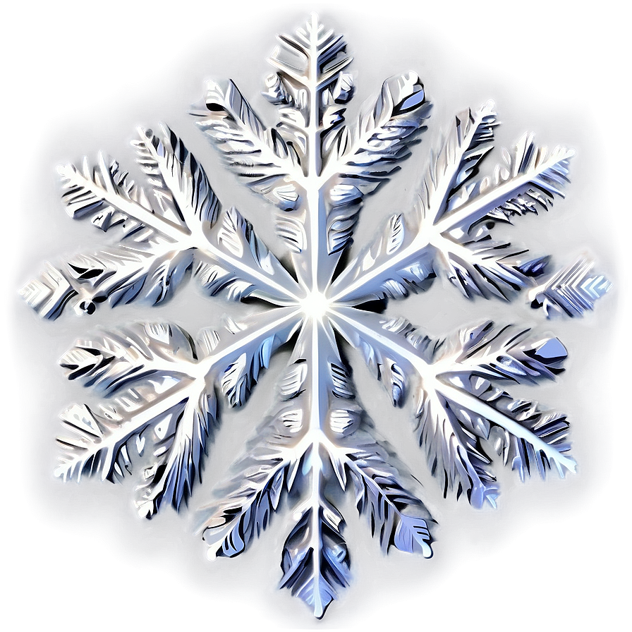 Snowflake Nature's Artwork Png Law PNG