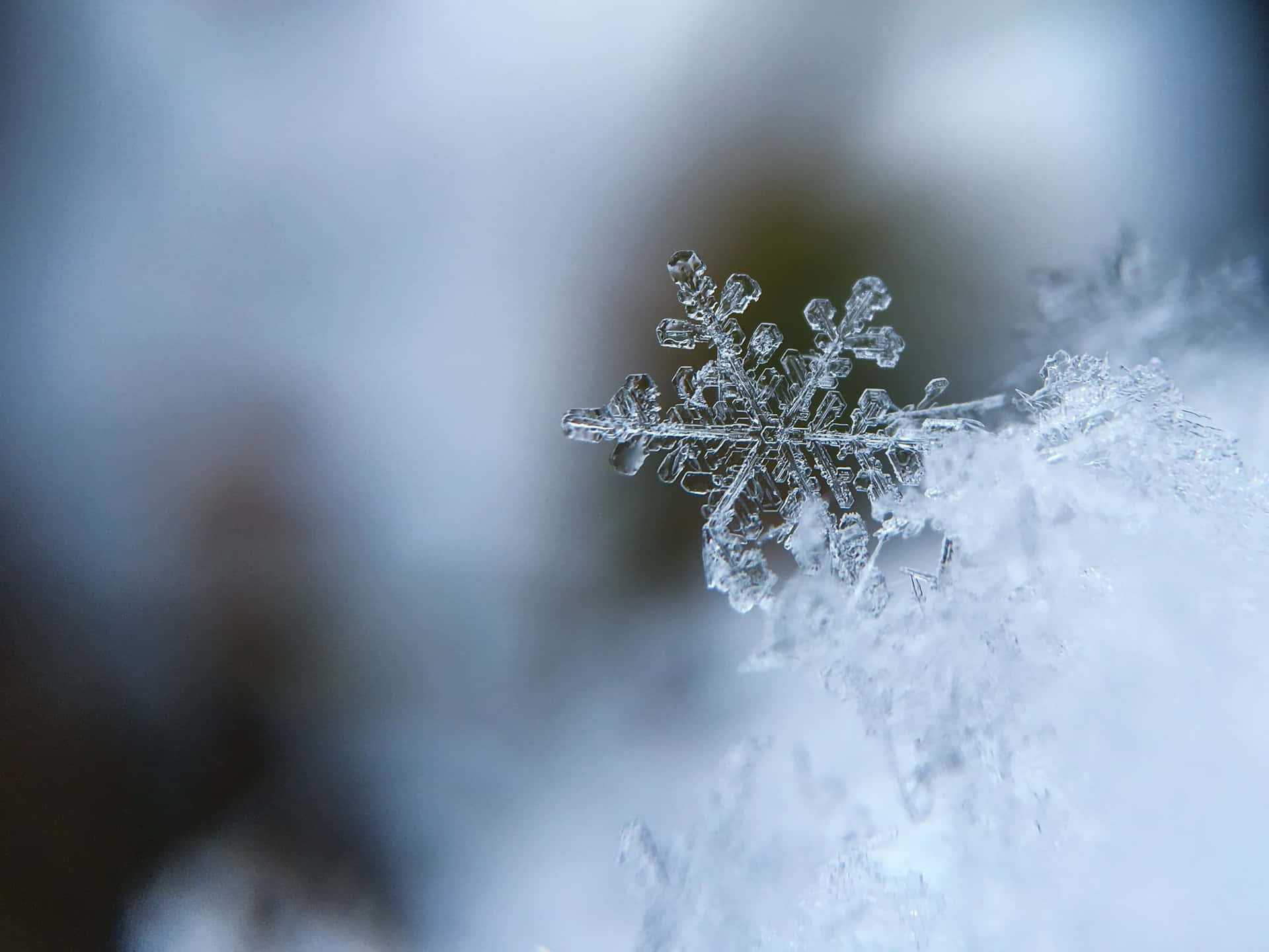 a snowflake is shown on a piece of snow