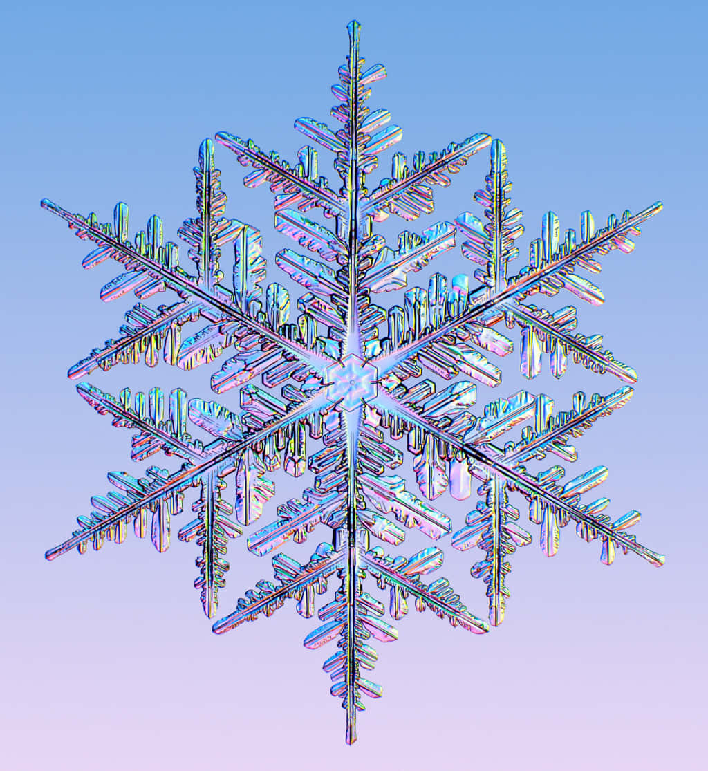 Glistening snowflakes admist a shining winter landscape