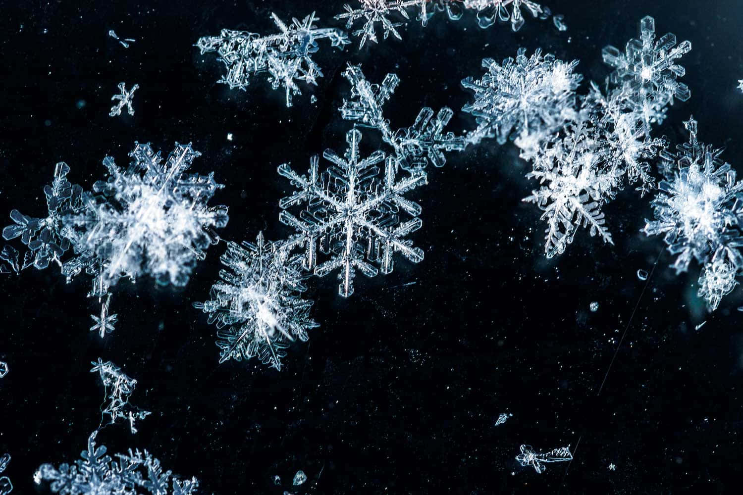 "The intricate beauty of snowflakes"